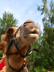 Similar image 1007504