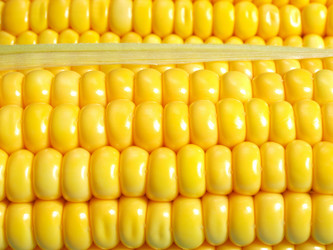 Similar image 1007511