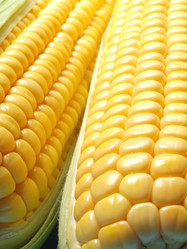 Similar image 1007513