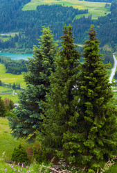 Similar image 1007537