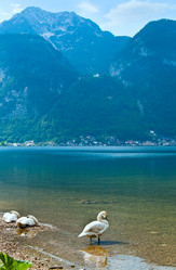 Similar image 1007576