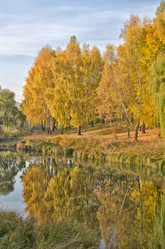 Similar image 1007651