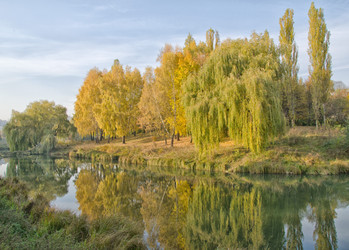 Similar image 1007652