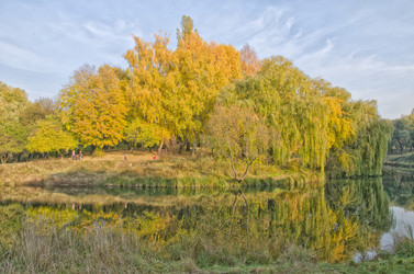 Similar image 1007655