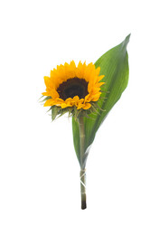 Similar image 1007756