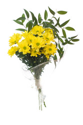 Similar image 1007767