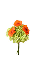 Similar image 1007773