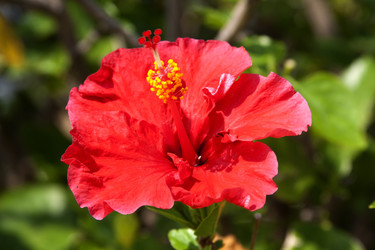 Similar image 1007780