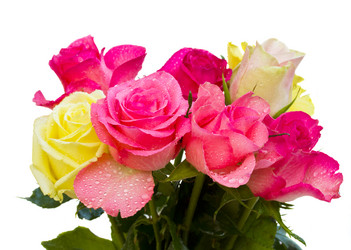 Similar image 1007782