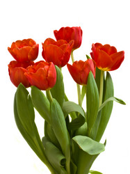 Similar image 1007784