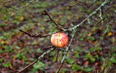 Similar image 1007786