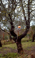 Similar image 1007789