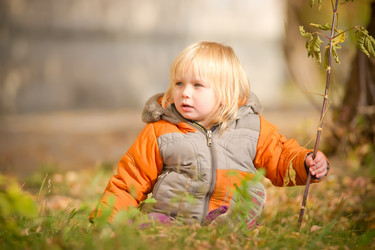 Similar image 1007912