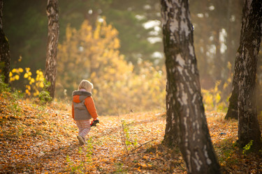 Similar image 1007917