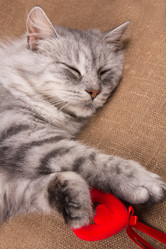 Similar image 1007952