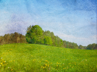 Similar image 1007973