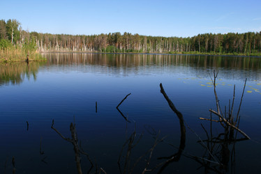 Similar image 1007988