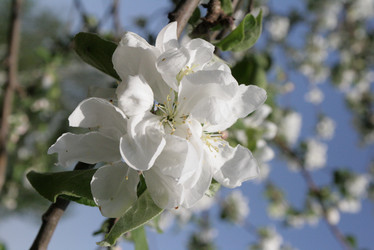 Similar image 1007991