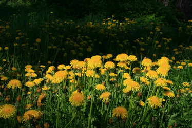 Similar image 1007992