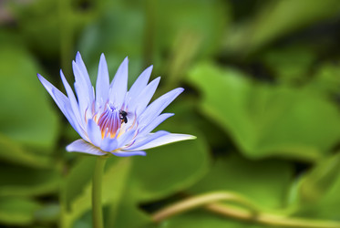 Similar image 1007995