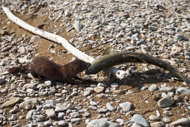 Similar image 1007998