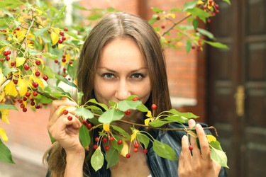 Similar image 1008074