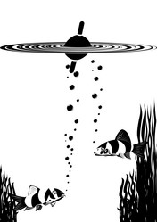 Similar image 1008221