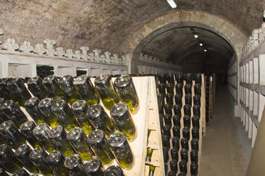 Similar image 1008305