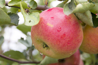 Similar image 1008323