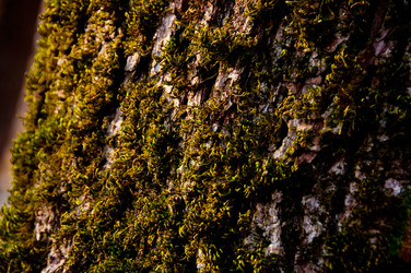 Similar image 1008327