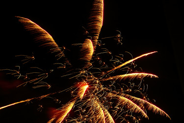 Similar image 1008397