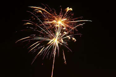 Similar image 1008399