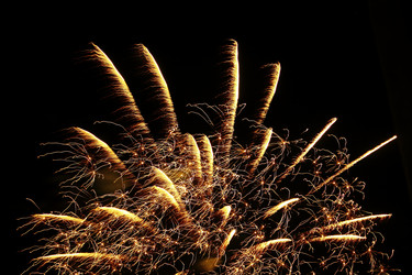 Similar image 1008401