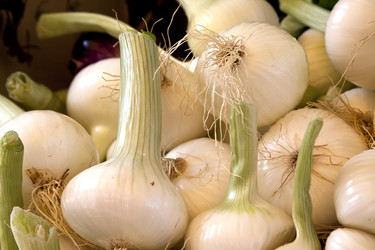 Similar image 1008408