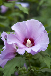 Similar image 1008410