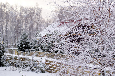 Similar image 1008413