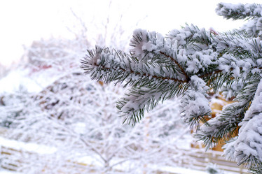 Similar image 1008414