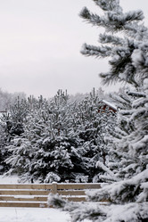 Similar image 1008415