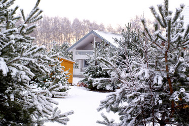 Similar image 1008417