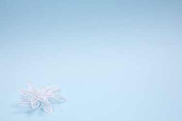 Similar image 1008435