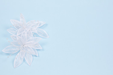 Similar image 1008438