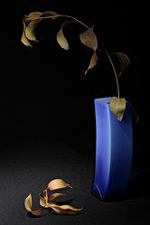 Similar image 1008515