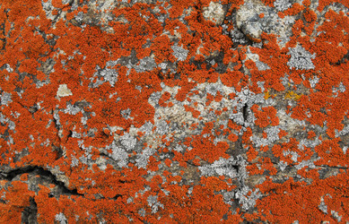 Similar image 1008536