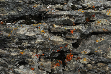 Similar image 1008537