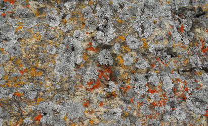 Similar image 1008538