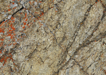 Similar image 1008540