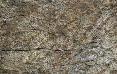 Similar image 1008543