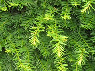 Similar image 1008550