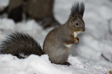 Similar image 1008574