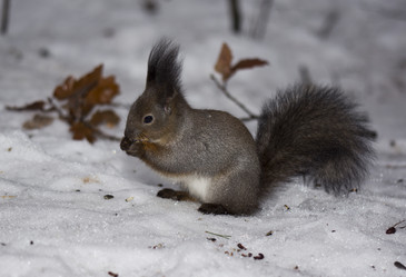 Similar image 1008575